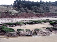 Asturias8-120824 : Asturias, Playa de Vega, Spanje