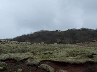 IMG 20160310 120044