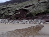 IMG 20160310 120307