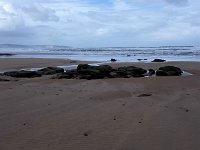 IMG 20160310 120624
