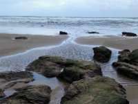 IMG 20160310 120645