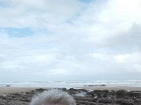 IMG 20160310 121212