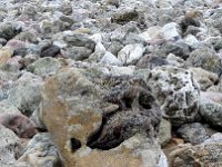 IMG 20160310 121647