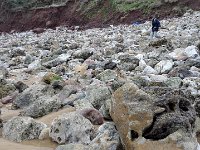 IMG 20160310 121706
