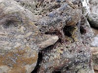 IMG 20160310 121833