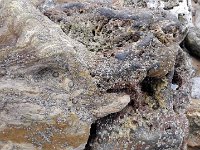 IMG 20160310 121838