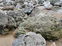 IMG 20160310 122132