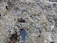 IMG 20160310 122153