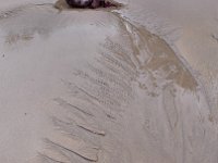 IMG 20160310 122433