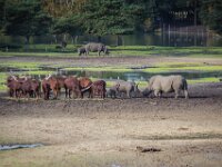 2015-Beekse Bergen-19-3761