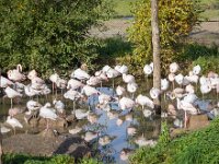 2015-Beekse Bergen-25-3777 : Beekse Bergen