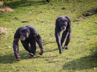 2015-Beekse Bergen-29-3787 : Beekse Bergen