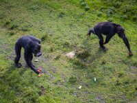 2015-Beekse Bergen-30-3790 : Beekse Bergen