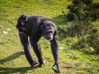 2015-Beekse Bergen-35-3805 : Beekse Bergen