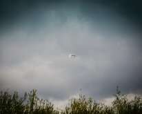 2015-Biesbosch-17-2370