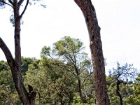2016-Costa Brava-125-4746