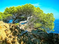 2003-Costa Brava-57-0020