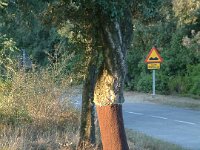 2003-Costa Brava-98-0066