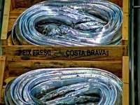 2006-Costa Brava-52-0009