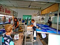 2006-Costa Brava-54-0012