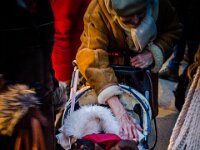 2016-XmasFair-34-6143 : Christmas Fair, Haarzuilens, Nederland