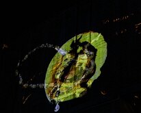 20231119-Dali Lumiere-09 9