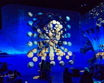 20231119-Dali Lumiere-15 15