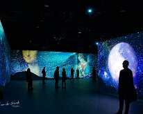 20240210-Da Vinci Genius-02