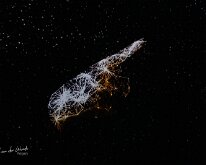 20240210-Da Vinci Genius-10