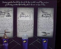20240210-Da Vinci Genius-19