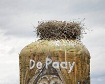 20240615-De Paaij-02