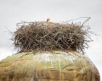 20240615-De Paaij-03