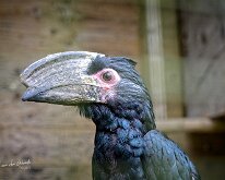20240615-De Paaij-07