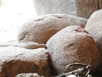 MG 0612 : Snakes, Burger's Zoo