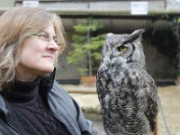 MG 1207 : Cotswolds Falconry, Roofvogels, Uilen