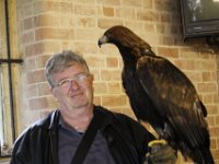 MG 1259 : Cotswolds Falconry, Roofvogels, Adelaars