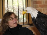 MG 1275 : Cotswolds Falconry, Roofvogels, Adelaars