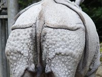 Neushoorn2 : Dierenpark Amersfoort
