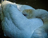 2008 06 08_Engeland_0417-13