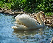 2008 06 08_Engeland_0420-16