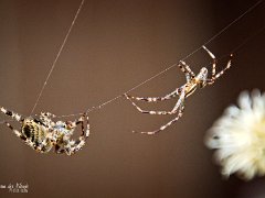 2018 10 08 Macro