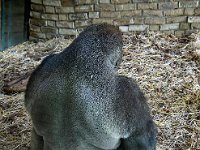 2022-06-13-GaiaZoo-16