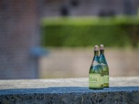 2016-Haarzuilens-22-5254 : Kasteel de Haar, Nederland