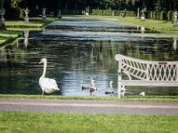 2016-Haarzuilens-67-5333 : Kasteel de Haar, Nederland