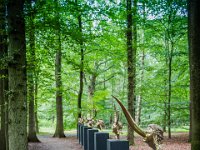 Beeldentuin-2332 : Kröller-Müller, Nederland, Otterlo