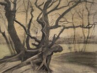 Van Gogh-2154 : Kröller-Müller, Les Racines, Nederland, Otterlo, Van Gogh & Co