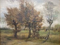 Van Gogh-2167 : Kröller-Müller, Nederland, Otterlo, Van Gogh & Co
