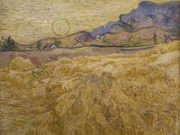 Van Gogh-2193 : Kröller-Müller, Nederland, Otterlo, Van Gogh & Co