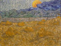Van Gogh-2196 : Kröller-Müller, Nederland, Otterlo, Van Gogh & Co