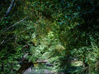 2016-Loire-47-5611 : Chateaux, Clos Luce, Frankrijk, Leonardo da Vinci, Loire